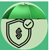 Credit Icon